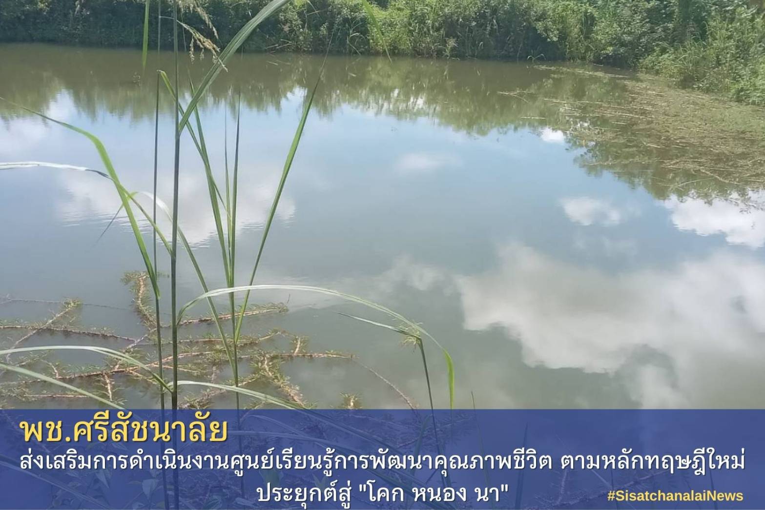 โครงการพัฒนาพื้นที่ต้นแบบการพัฒนาคุณภาพชีวิตตามหลักทฤษฎีใหม่ประยุกต์สู่โคก หนอง นา โมเดล แปลงนาย พิพัฒน์  โชตินอก ม.12 ต.แม่สิน