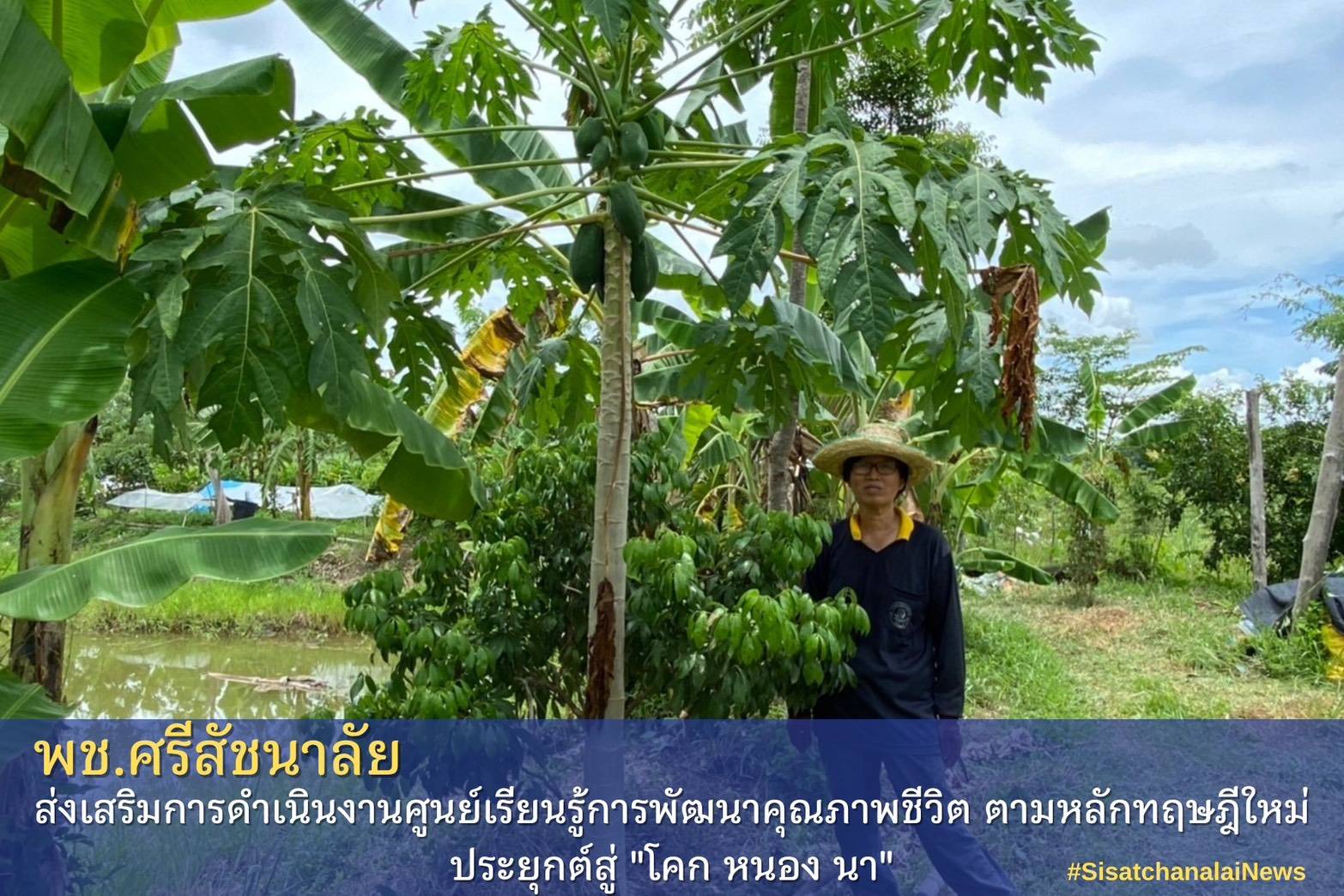 โครงการพัฒนาพื้นที่ต้นแบบการพัฒนาคุณภาพชีวิตตามหลักทฤษฎีใหม่ประยุกต์สู่โคก หนอง นา โมเดล แปลงน.ส.น้อย นักรู้ ม.8 ต.ป่างิ้ว