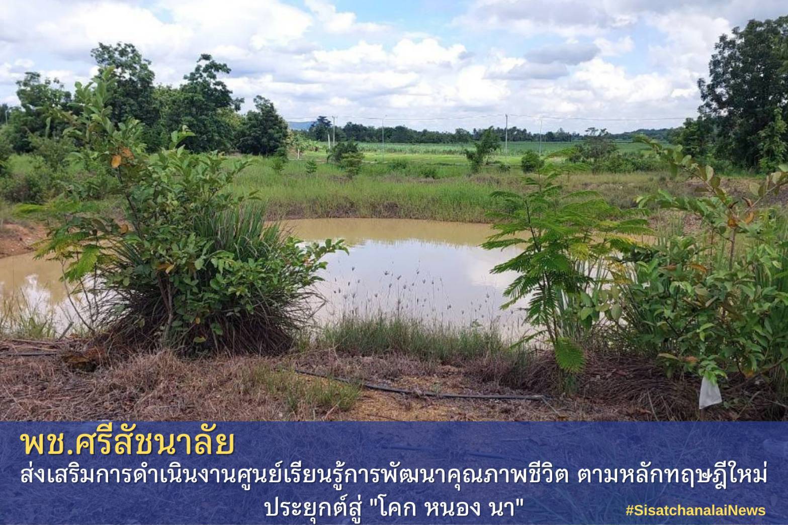 โครงการพัฒนาพื้นที่ต้นแบบการพัฒนาคุณภาพชีวิตตามหลักทฤษฎีใหม่ประยุกต์สู่โคก หนอง นา โมเดล แปลงนายวิเศษ  เรืองฤทธิ์ ม.3 ต.บ้านตึก