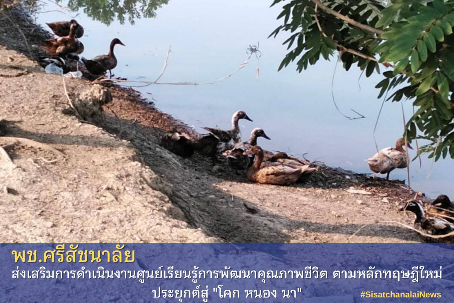 โครงการพัฒนาพื้นที่ต้นแบบการพัฒนาคุณภาพชีวิตตามหลักทฤษฎีใหม่ประยุกต์สู่โคก หนอง นา โมเดล แปลงนายประกิจ  ยุรยาตร  ม.16 ต.แม่สิน