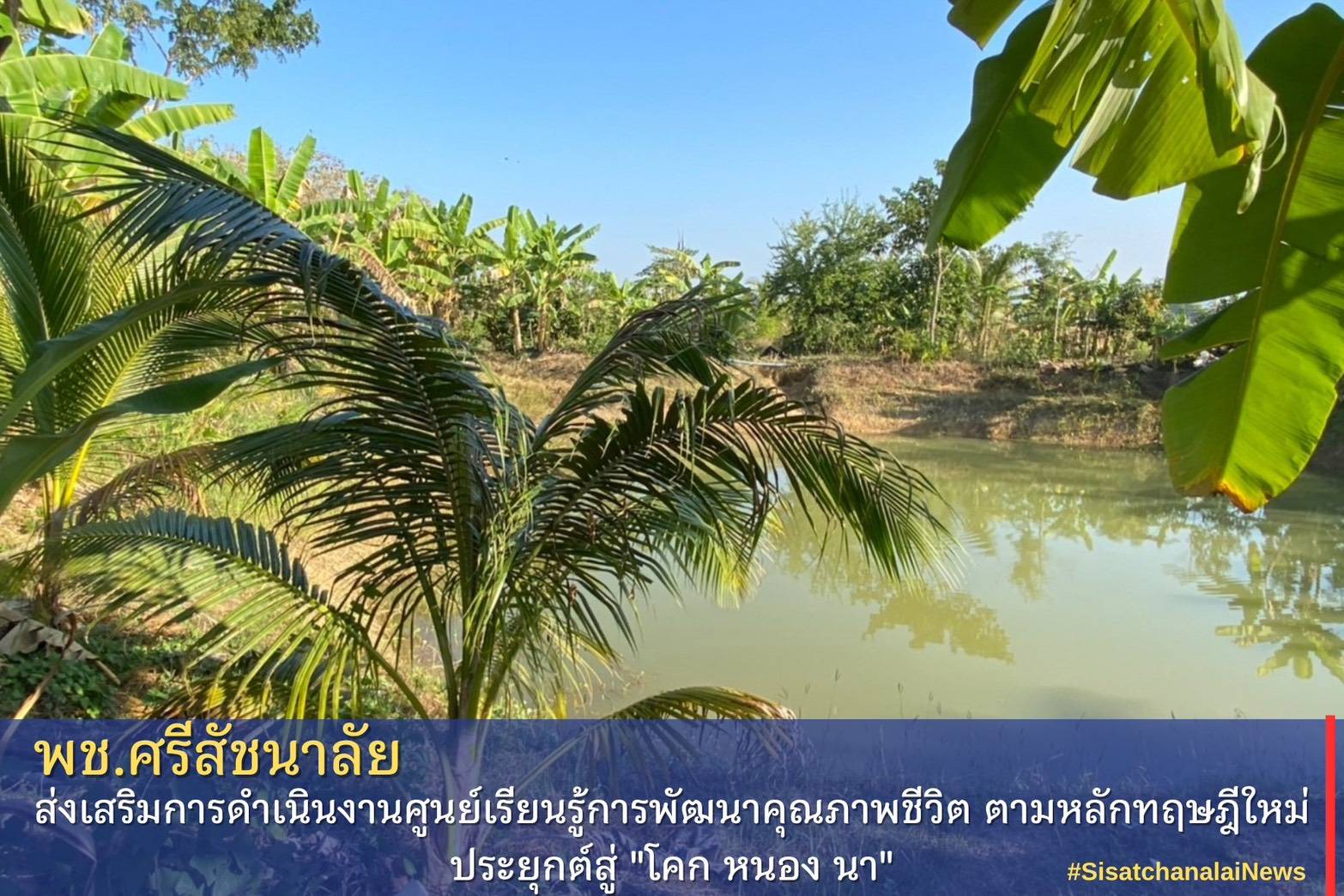 โครงการพัฒนาพื้นที่ต้นแบบการพัฒนาคุณภาพชีวิตตามหลักทฤษฎีใหม่ประยุกต์สู่โคก หนอง นา โมเดล แปลงน.ส.น้อย นักรู้ ม.8 ต.ป่างิ้ว 