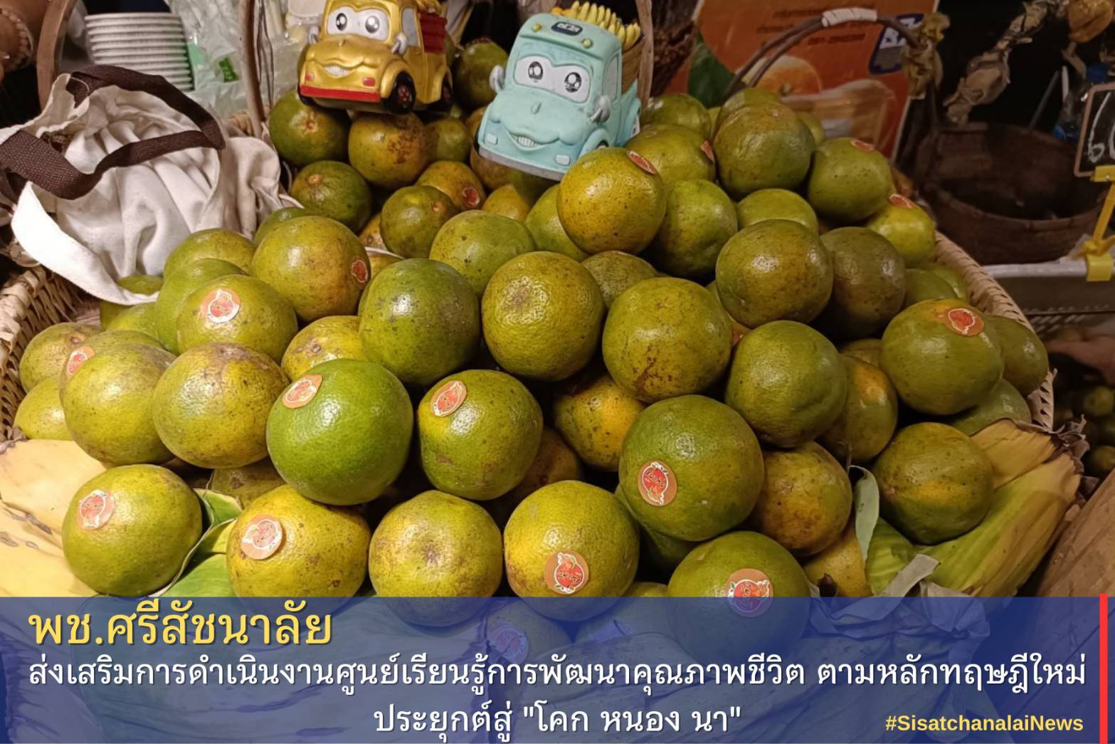 โครงการพัฒนาพื้นที่ต้นแบบการพัฒนาคุณภาพชีวิตตามหลักทฤษฎีใหม่ประยุกต์สู่โคก หนอง นา โมเดล แปลงนาย พิพัฒน์  โชตินอก  ม.12 ต.แม่สิน