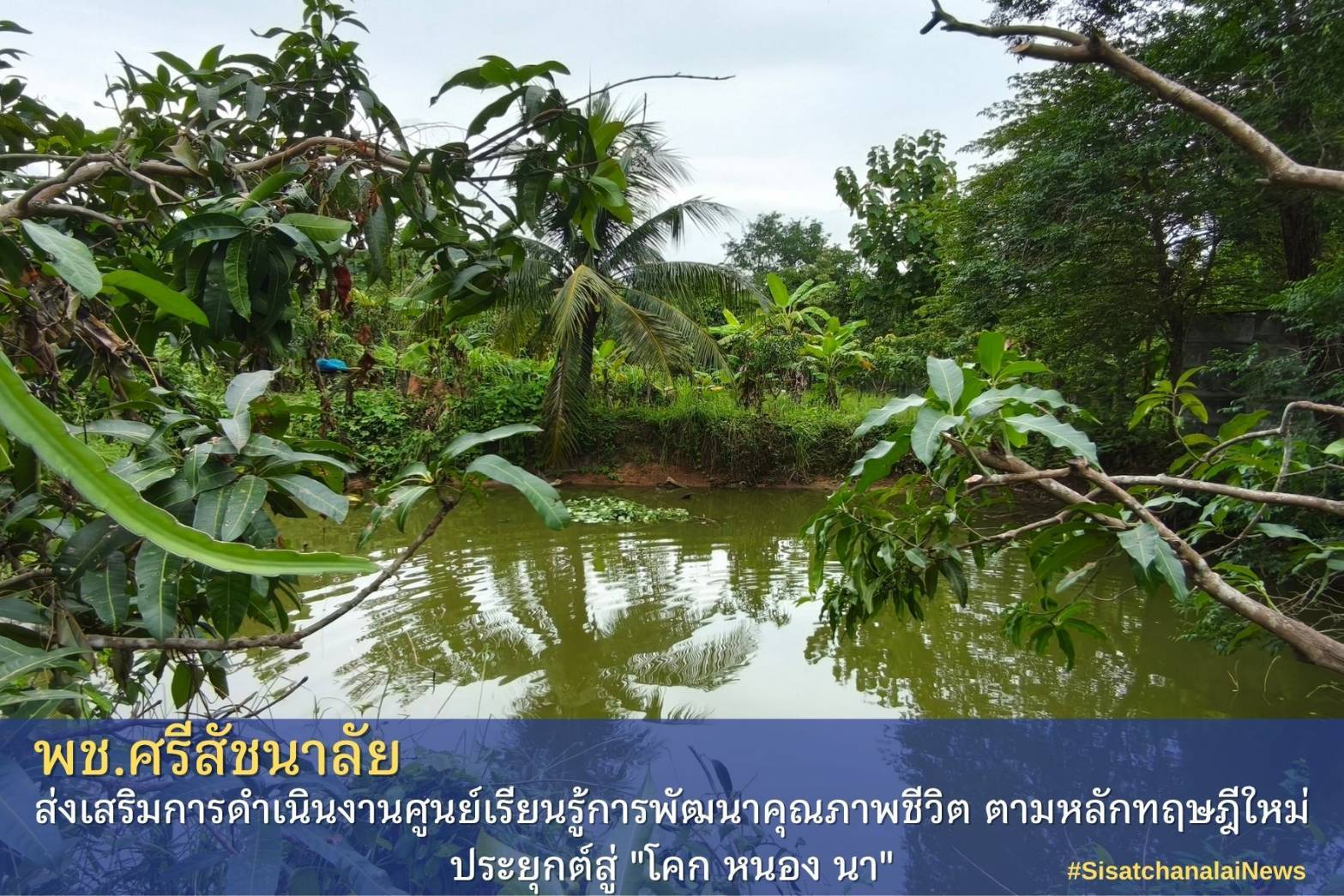 โครงการพัฒนาพื้นที่ต้นแบบการพัฒนาคุณภาพชีวิตตามหลักทฤษฎีใหม่ประยุกต์สู่โคก หนอง นา โมเดล แปลงนางปทุม บุญเกิด ม.10 ต.ท่าชัย