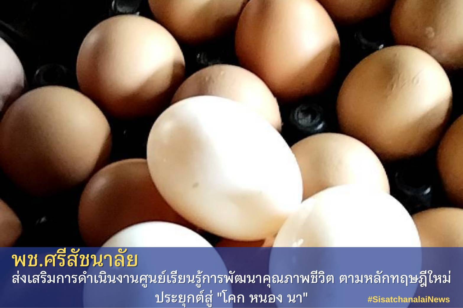 โครงการพัฒนาพื้นที่ต้นแบบการพัฒนาคุณภาพชีวิตตามหลักทฤษฎีใหม่ประยุกต์สู่โคก หนอง นา โมเดล แปลงนาย พิพัฒน์  โชตินอก  ม. 12 ต.แม่สิน 