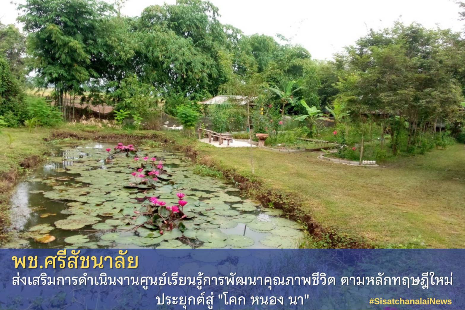 โครงการพัฒนาพื้นที่ต้นแบบการพัฒนาคุณภาพชีวิตตามหลักทฤษฎีใหม่ประยุกต์สู่โคก หนอง นา โมเดล แปลงนายอ่ำ น้ำใจมั่น ม.10 ต.บ้านแก่ง