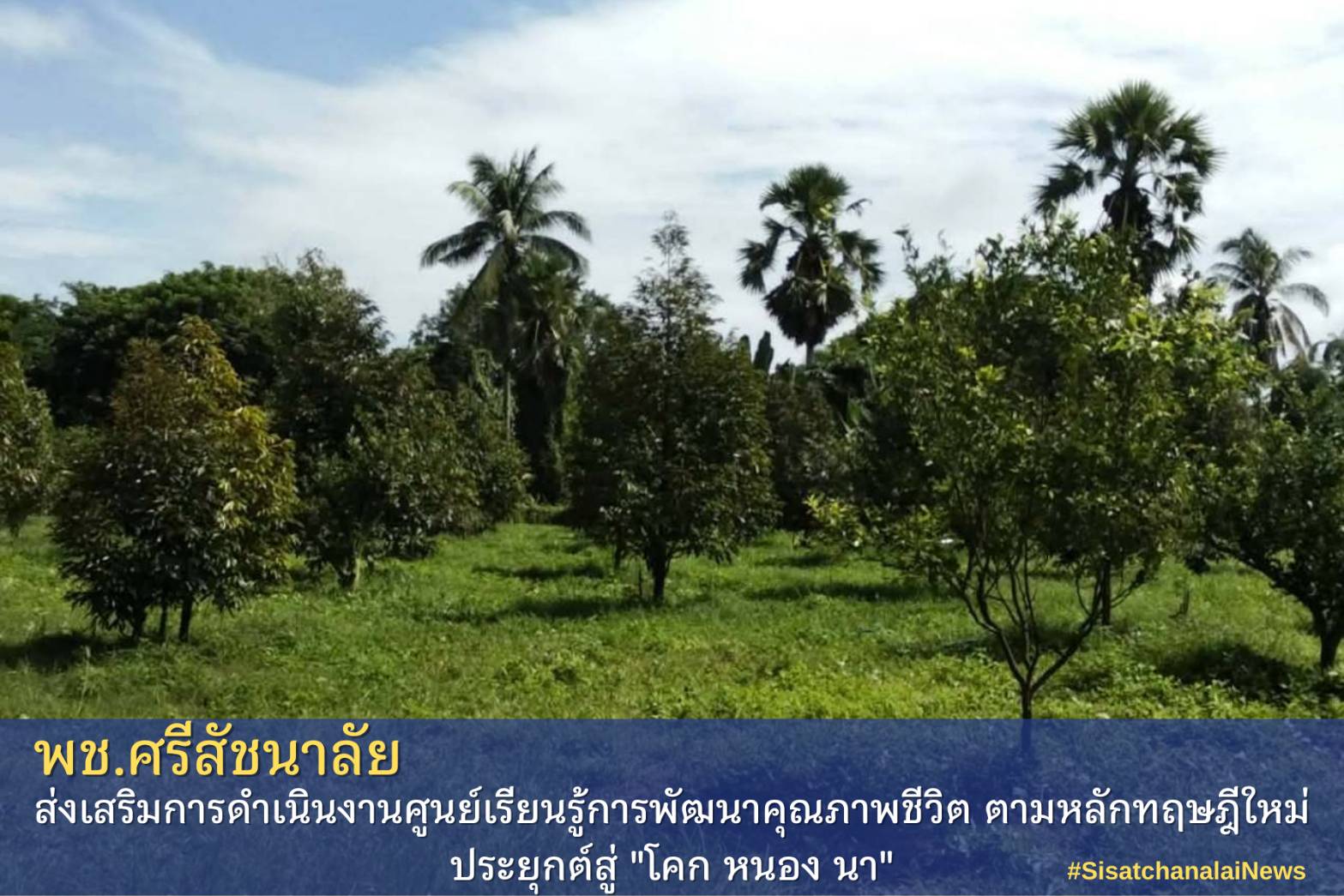 โครงการพัฒนาพื้นที่ต้นแบบการพัฒนาคุณภาพชีวิตตามหลักทฤษฎีใหม่ประยุกต์สู่โคก หนอง นา โมเดล แปลงนาย ประกิจ  ยุรยาตร  ม. 16 ต.แม่สิน