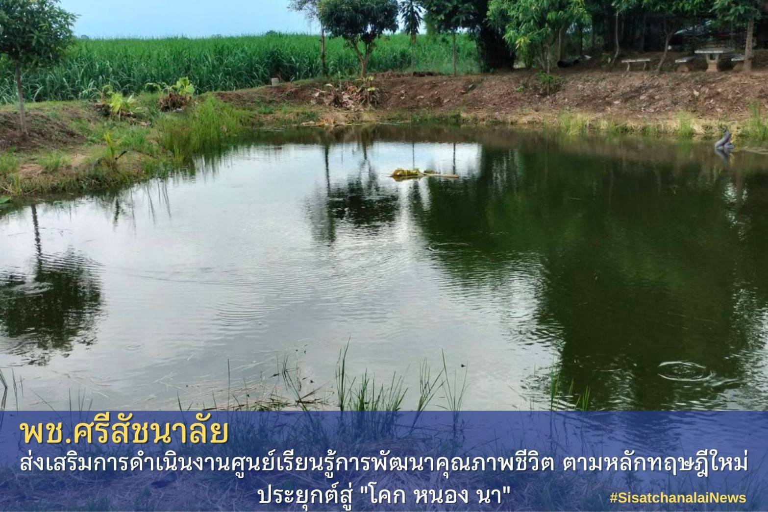 โครงการพัฒนาพื้นที่ต้นแบบการพัฒนาคุณภาพชีวิตตามหลักทฤษฎีใหม่ประยุกต์สู่โคก หนอง นา โมเดล แปลงนนางทองคำ ทิ้งชั่ว ม.2 ต.แม่สำ