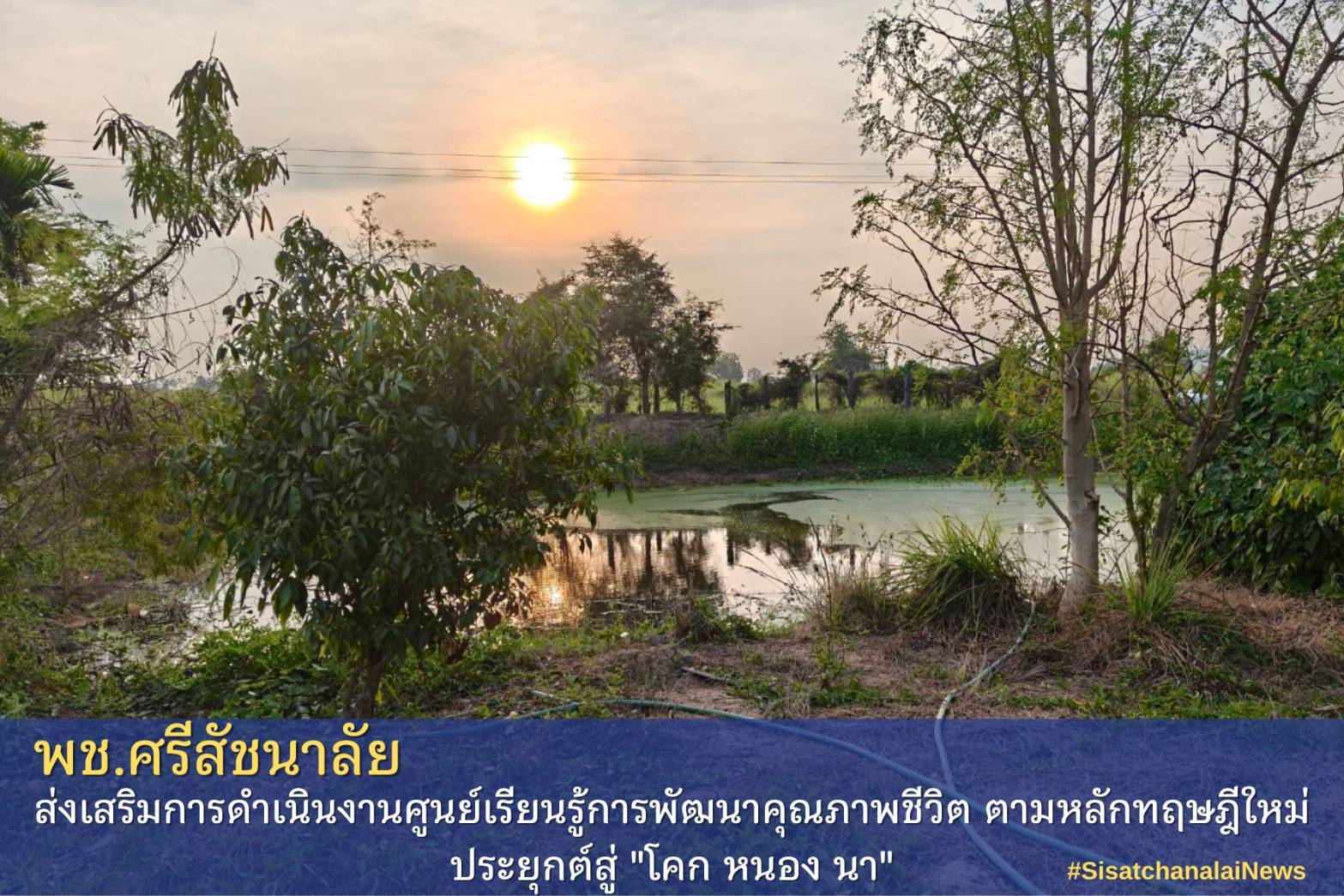 โครงการพัฒนาพื้นที่ต้นแบบการพัฒนาคุณภาพชีวิตตามหลักทฤษฎีใหม่ประยุกต์สู่โคก หนอง นา แปลงนายสมชาย ไชยวงศ์ ม.8 ต.สารจิตร