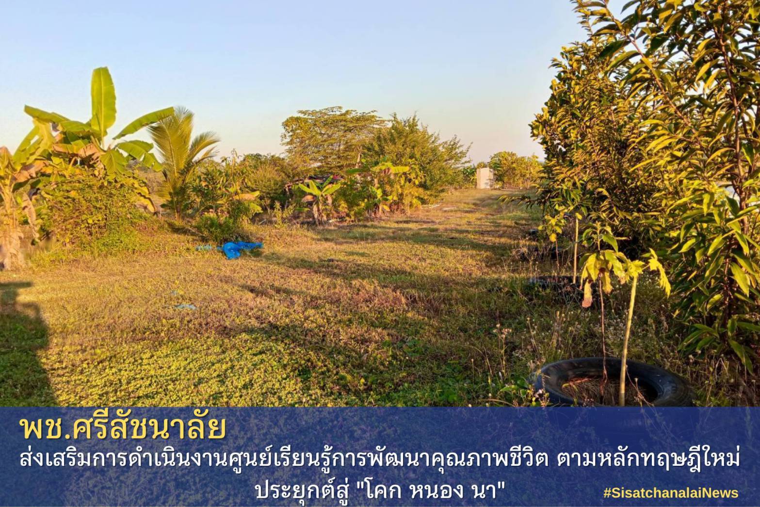 โครงการพัฒนาพื้นที่ต้นแบบการพัฒนาคุณภาพชีวิตตามหลักทฤษฎีใหม่ประยุกต์สู่โคก หนอง นา โมเดล แปลงนางสาวชนิดาภา พวงดี ม.1 ต.บ้านแก่ง
