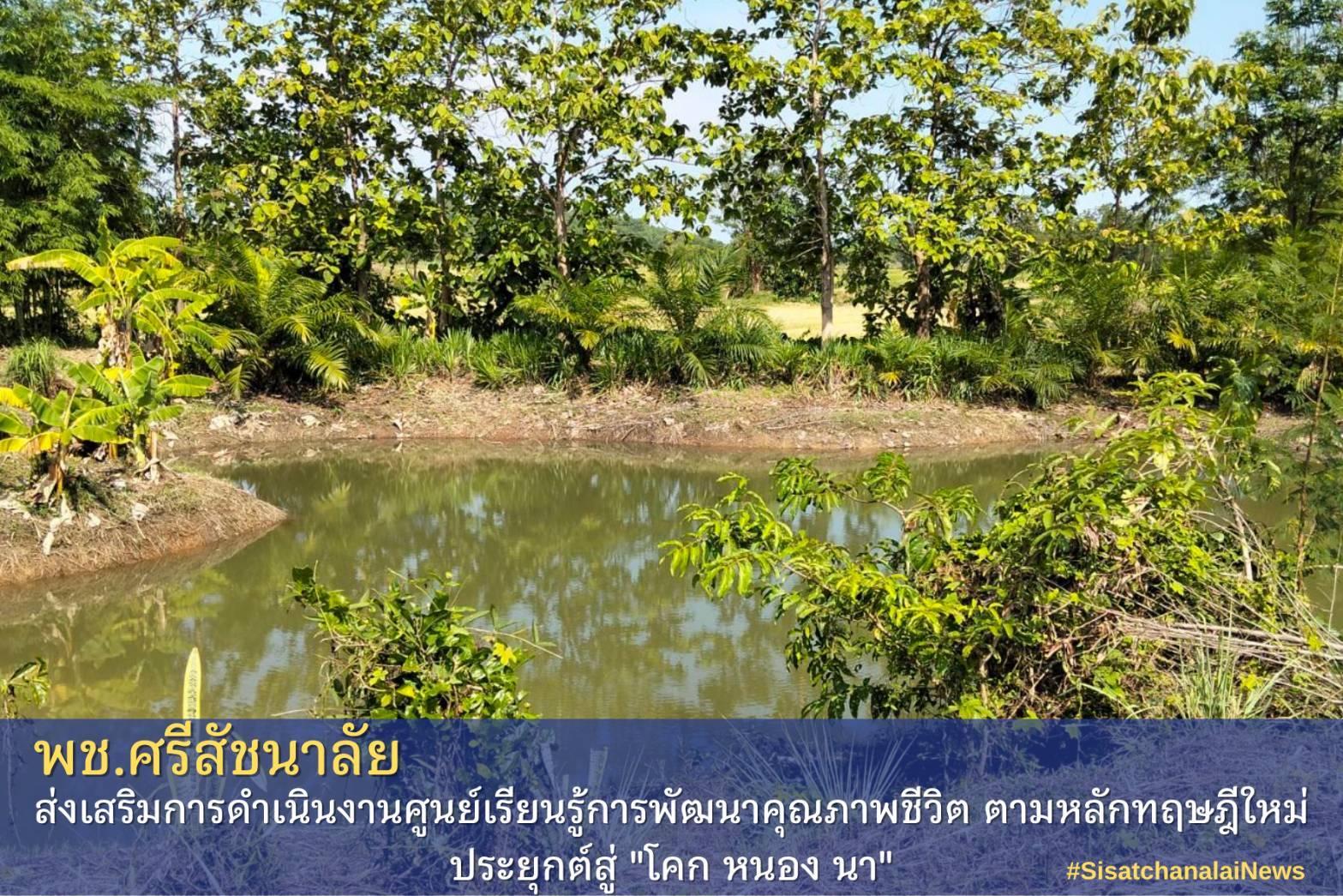 โครงการพัฒนาพื้นที่ต้นแบบการพัฒนาคุณภาพชีวิตตามหลักทฤษฎีใหม่ประยุกต์สู่โคก หนอง นา โมเดล แปลงนางนวพร แผลงฤทธิ์ ม.2 ต.สารจิตร