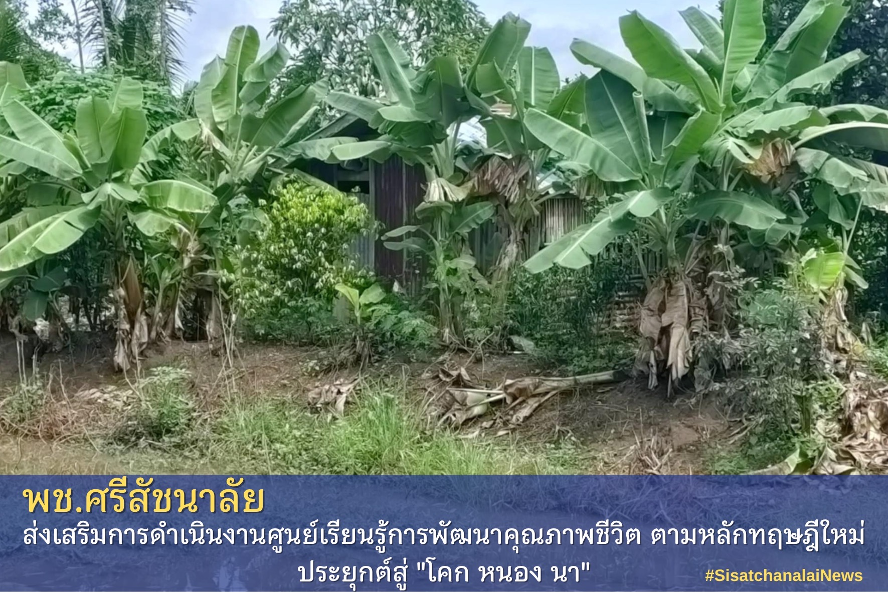 พช.ศรีสัชนาลัย เดินหน้าขับเคลื่อนการพัฒนาคุณภาพชีวิตของประชาชนตามหลักปรัชญาของเศรษฐกิจพอเพียง ผ่านโครงการพัฒนาพื้นที่ต้นแบบการพัฒนาคุณภาพชีวิตตามหลักทฤษฎีใหม่ ประยุกต์สู่ “โคก หนอง นา โมเดล” ซึ่งมุ่งเน้นการจัดการพื้นที่ให้เกิดประโยชน์สูงสุด สร้างความมั่นคงทางอาหาร และเพิ่มรายได้ให้กับครัวเรือนในชุมชน