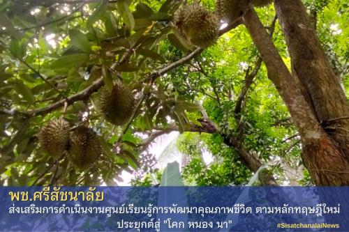 โครงการพัฒนาพื้นที่ต้นแบบการพัฒนาคุณภาพชีวิตตามหลักทฤษฎีใหม่ประยุกต์สู่โคก หนอง นา โมเดล แปลงนาย ประกิจ  ยุรยาตร  ม. 16 ต.แม่สิน  