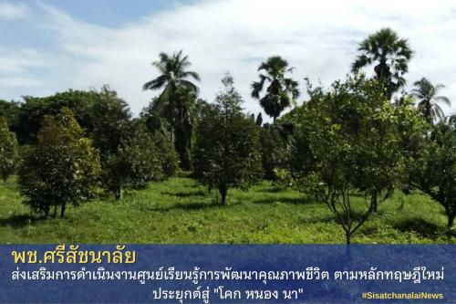 โครงการพัฒนาพื้นที่ต้นแบบการพัฒนาคุณภาพชีวิตตามหลักทฤษฎีใหม่ประยุกต์สู่โคก หนอง นา โมเดล แปลงนาย ประกิจ  ยุรยาตร  ม. 16 ต.แม่สิน