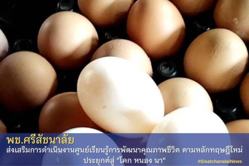 โครงการพัฒนาพื้นที่ต้นแบบการพัฒนาคุณภาพชีวิตตามหลักทฤษฎีใหม่ประยุกต์สู่โคก หนอง นา โมเดล แปลงนายพิพัฒน์  โชตินอก  ม. 12 ต.แม่สิน