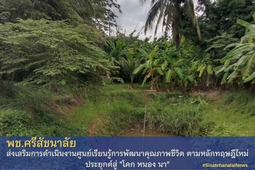 โครงการพัฒนาพื้นที่ต้นแบบการพัฒนาคุณภาพชีวิตตามหลักทฤษฎีใหม่ประยุกต์สู่โคก หนอง นา โมเดล แปลงนางน้ำค้าง ขนาดนิด ม.10 ต.ท่าชัย