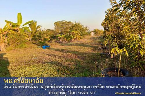 โครงการพัฒนาพื้นที่ต้นแบบการพัฒนาคุณภาพชีวิตตามหลักทฤษฎีใหม่ประยุกต์สู่โคก หนอง นา โมเดล แปลงนางสาวชนิดาภา พวงดี ม.1 ต.บ้านแก่ง
