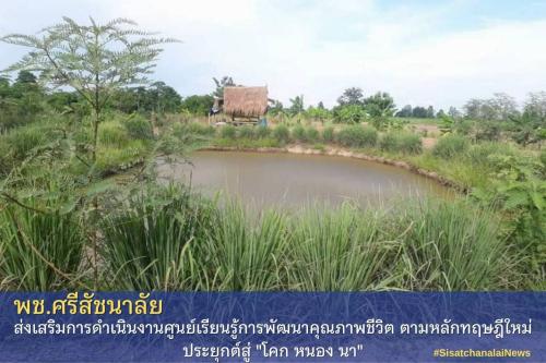 โครงการพัฒนาพื้นที่ต้นแบบการพัฒนาคุณภาพชีวิตตามหลักทฤษฎีใหม่ประยุกต์สู่โคก หนอง นา โมเดล แปลงนางสำอางค์ มะธุระ ม.10 ต.ท่าชัย